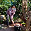 โครงการถังขยะเปียกลดโลกร้อน